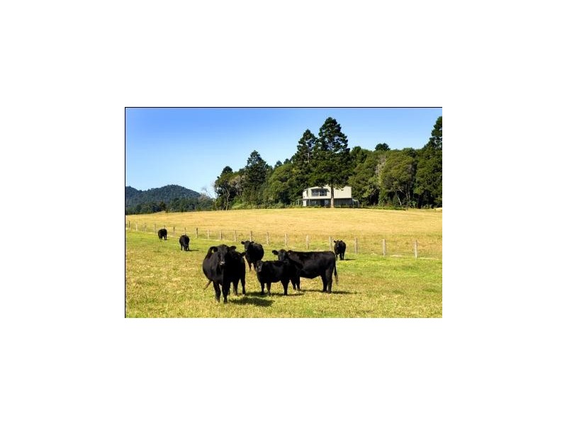 Lots 57 and 58 Upper Bo Bo Road, Brooklana NSW 2450