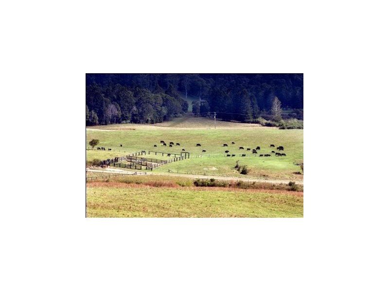 Lots 57 and 58 Upper Bo Bo Road, Brooklana NSW 2450