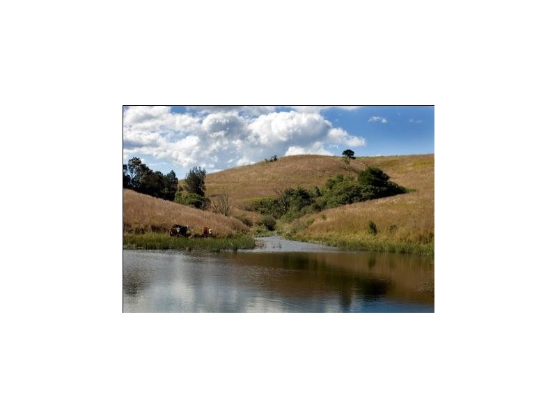 Lots 57 and 58 Upper Bo Bo Road, Brooklana NSW 2450