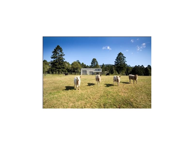 Lots 57 and 58 Upper Bo Bo Road, Brooklana NSW 2450