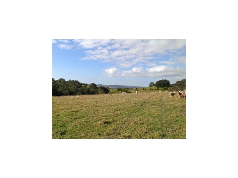 108 Brewers Road, Flat Tops NSW 2420