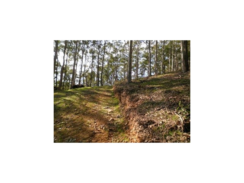 108 Brewers Road, Flat Tops NSW 2420