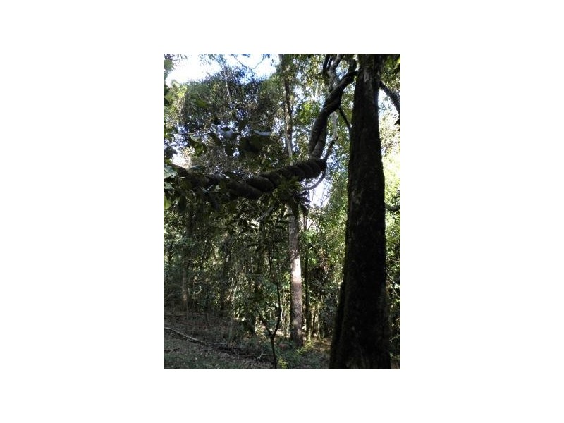 108 Brewers Road, Flat Tops NSW 2420