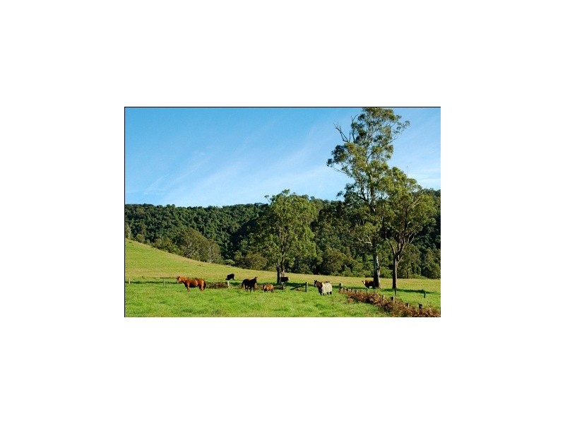 1054 – 1089 Bakers Creek Road, Gloucester NSW 2422