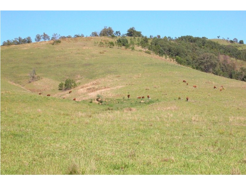 1054 – 1089 Bakers Creek Road, Gloucester NSW 2422