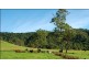 Lot 22 Bakers Creek Road, Gloucester NSW 2422
