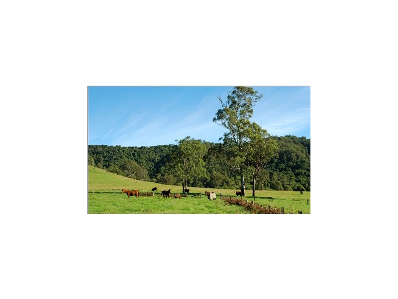 Lot 22 Bakers Creek Road, Gloucester NSW 2422