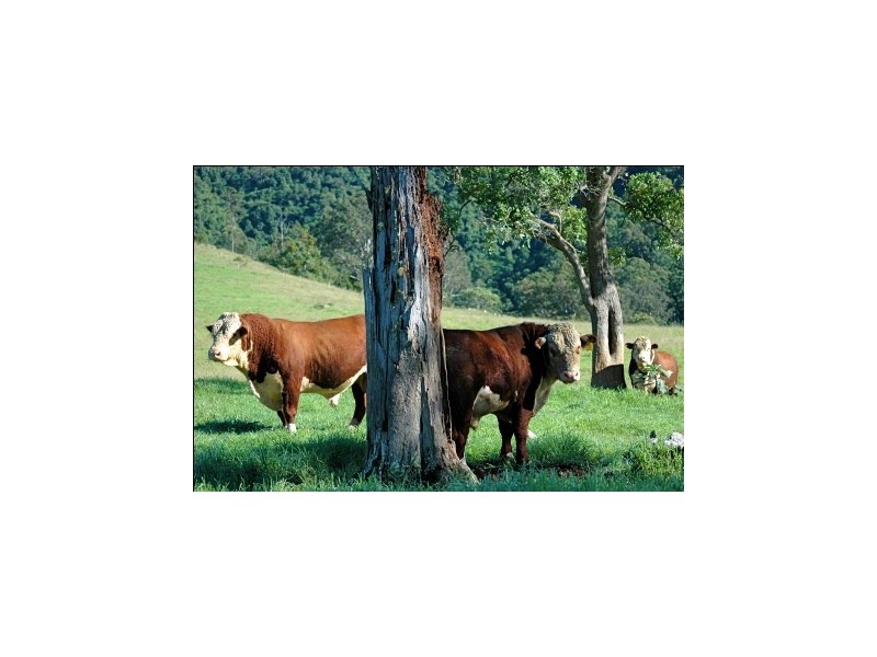 Lot 22 Bakers Creek Road, Gloucester NSW 2422