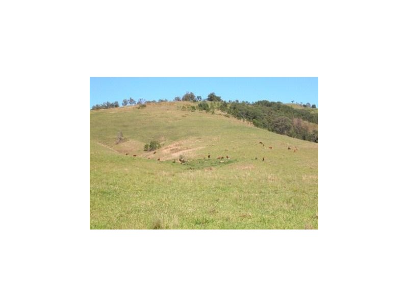 Lot 23 Bakers Creek Road, Gloucester NSW 2422