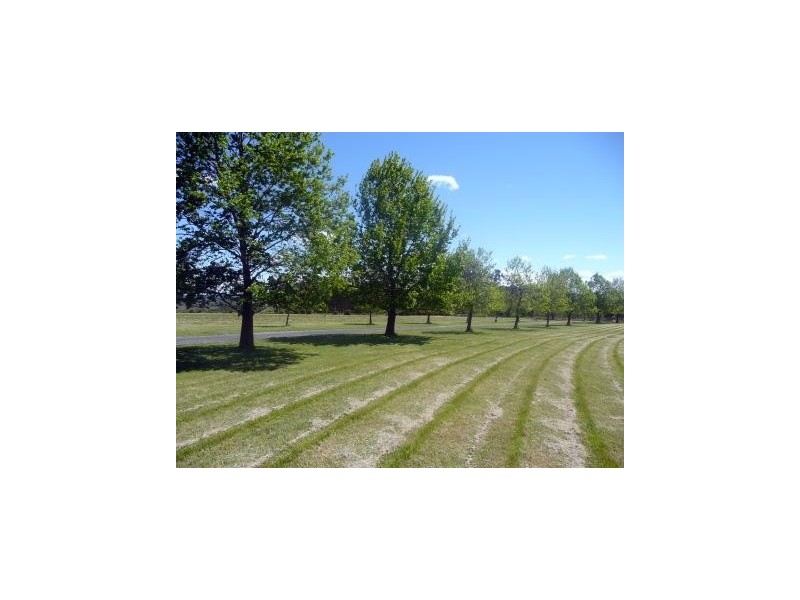 10 Plateau Drive, Razorback NSW 2571