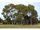 10 Plateau Drive, Razorback NSW 2571