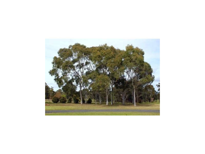 10 Plateau Drive, Razorback NSW 2571