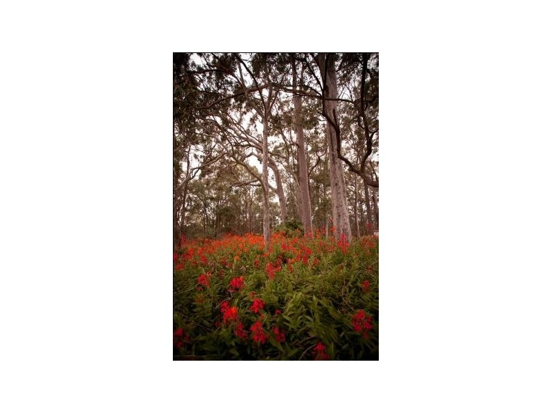 10 Langlands Road, Glen Oak NSW 2320