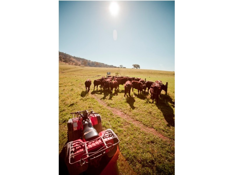 891 Allyn River Road, Allynbrook NSW 2311