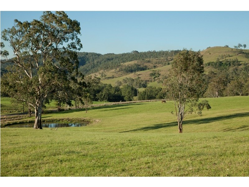 891 Allyn River Road, Allynbrook NSW 2311