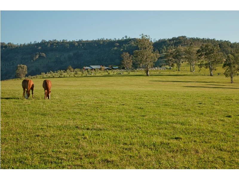 891 Allyn River Road, Allynbrook NSW 2311