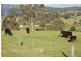 891 Allyn River Road, Allynbrook NSW 2311