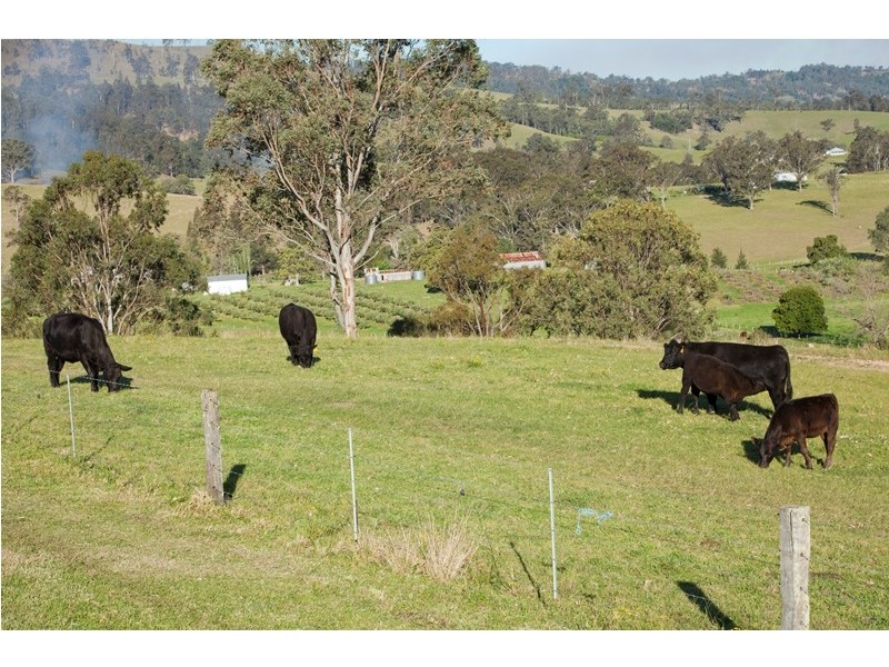 891 Allyn River Road, Allynbrook NSW 2311