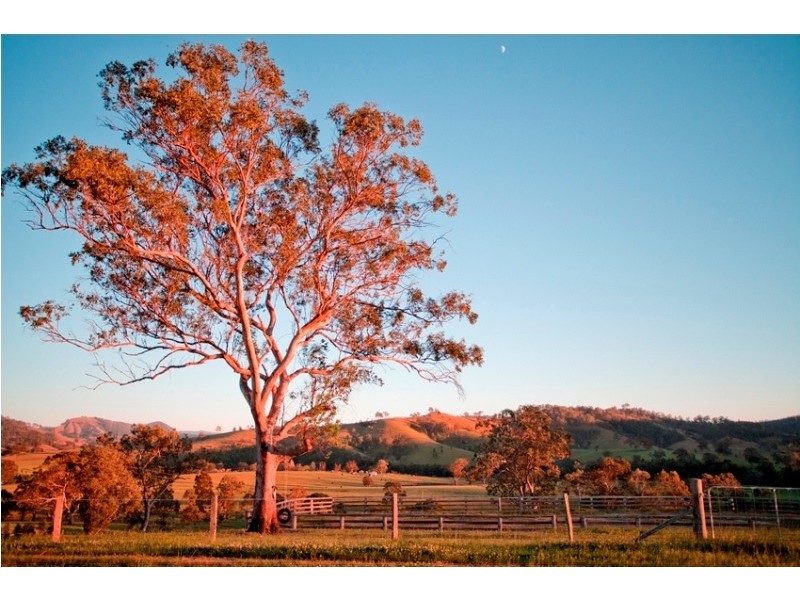 891 Allyn River Road, Allynbrook NSW 2311