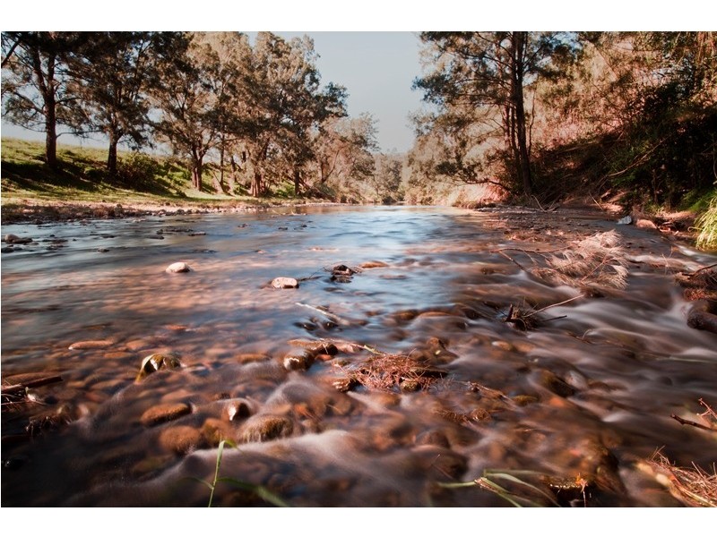 891 Allyn River Road, Allynbrook NSW 2311