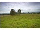 Lot 2, 433 Gresford Road, Paterson NSW 2421