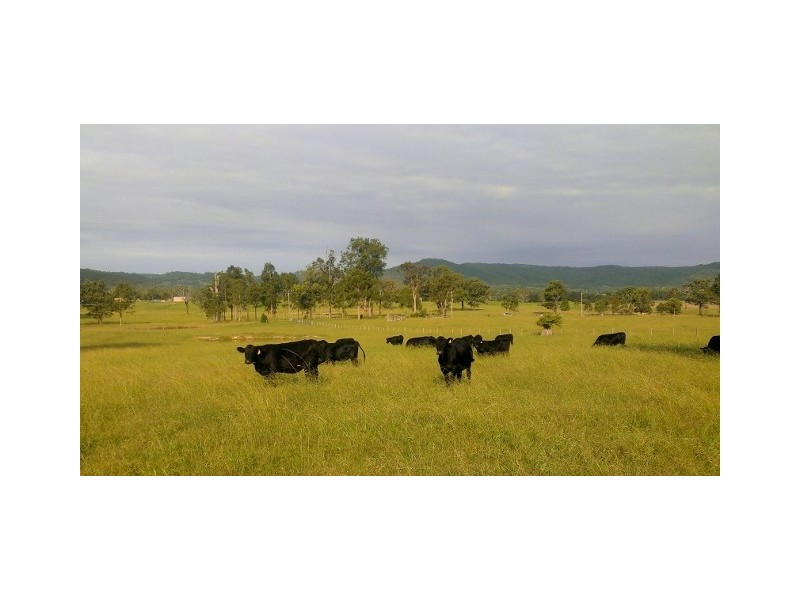 Lot 2, 433 Gresford Road, Paterson NSW 2421