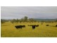Lot 1, 433 Gresford Road, Paterson NSW 2421