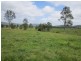 Lot 1, 433 Gresford Road, Paterson NSW 2421