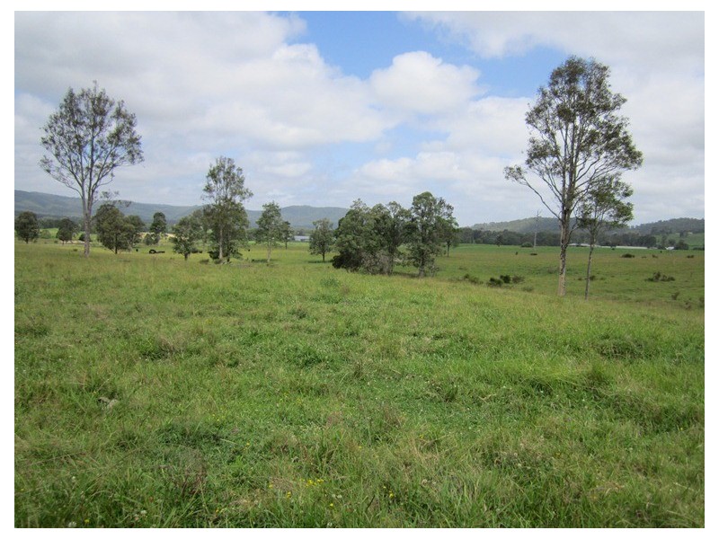 Lot 1, 433 Gresford Road, Paterson NSW 2421