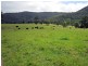 Lot 1, 433 Gresford Road, Paterson NSW 2421