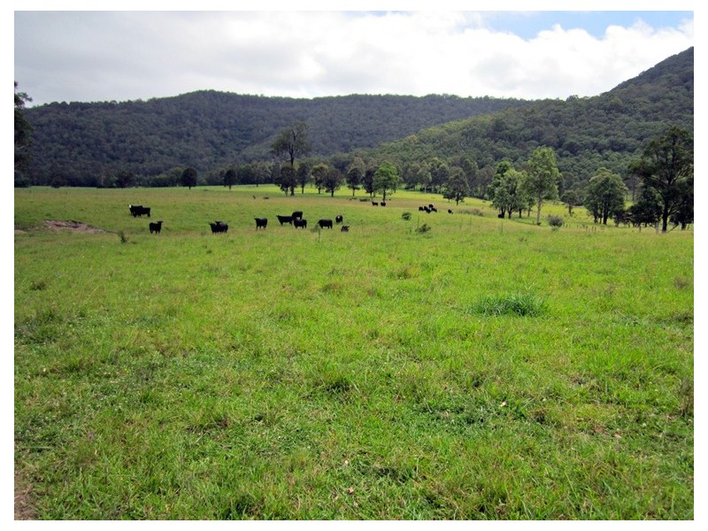 Lot 1, 433 Gresford Road, Paterson NSW 2421