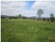 Lot 1, 433 Gresford Road, Paterson NSW 2421
