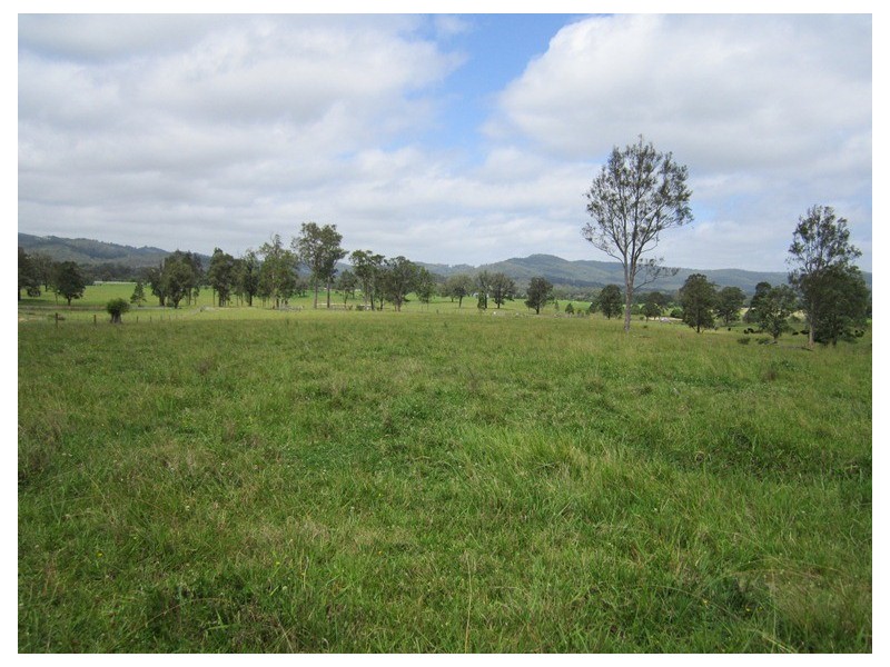 Lot 1, 433 Gresford Road, Paterson NSW 2421