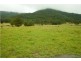 Lot 1, 433 Gresford Road, Paterson NSW 2421