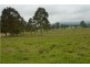 Lot 1, 433 Gresford Road, Paterson NSW 2421