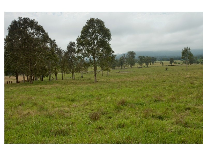 Lot 1, 433 Gresford Road, Paterson NSW 2421