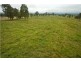 Lot 1, 433 Gresford Road, Paterson NSW 2421