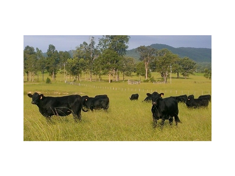 Lot 1, 433 Gresford Road, Paterson NSW 2421
