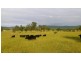 Lot 1, 433 Gresford Road, Paterson NSW 2421