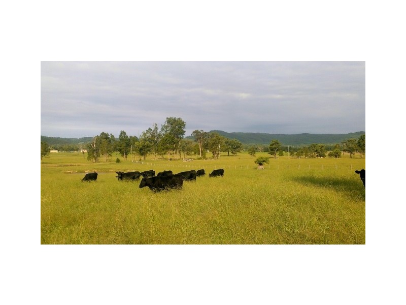 Lot 1, 433 Gresford Road, Paterson NSW 2421