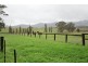 235 Hilldale Rd, Hilldale NSW 2420