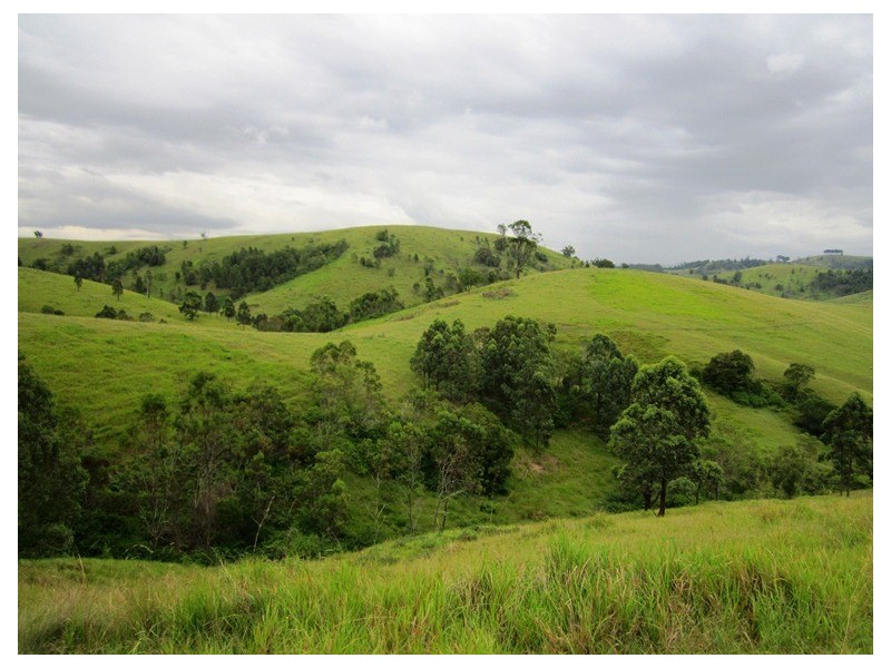 180 Wattle Tree Road, Dungog NSW 2420