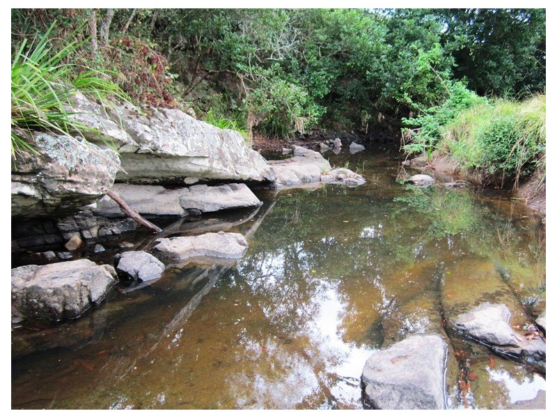 180 Wattle Tree Road, Dungog NSW 2420