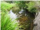 180 Wattle Tree Road, Dungog NSW 2420