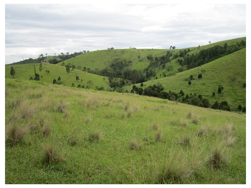 180 Wattle Tree Road, Dungog NSW 2420