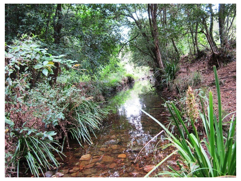 180 Wattle Tree Road, Dungog NSW 2420