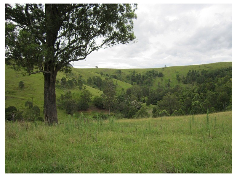 180 Wattle Tree Road, Dungog NSW 2420