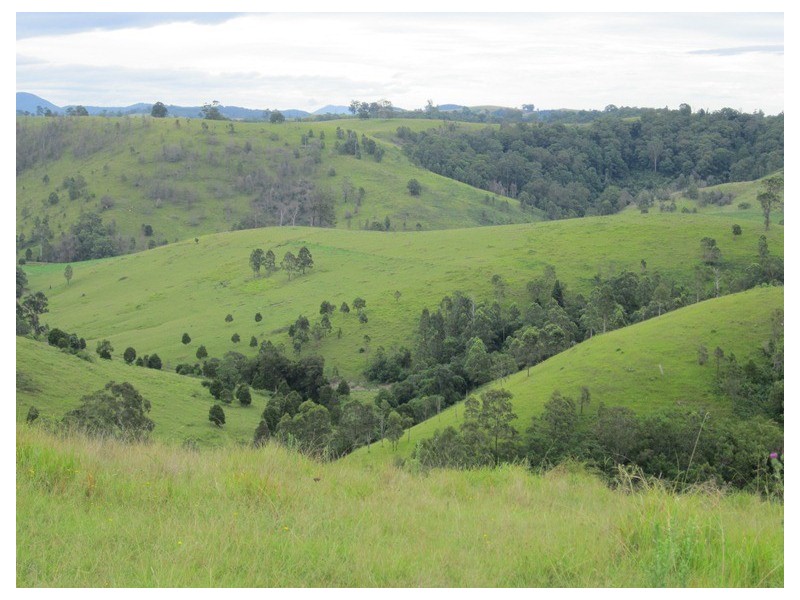 180 Wattle Tree Road, Dungog NSW 2420