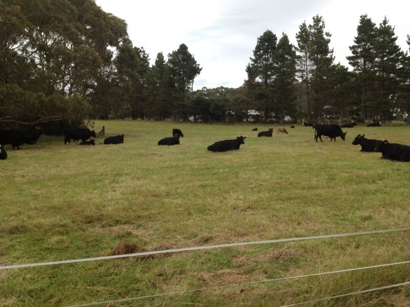 387 Cloonty Road, Robertson NSW 2577