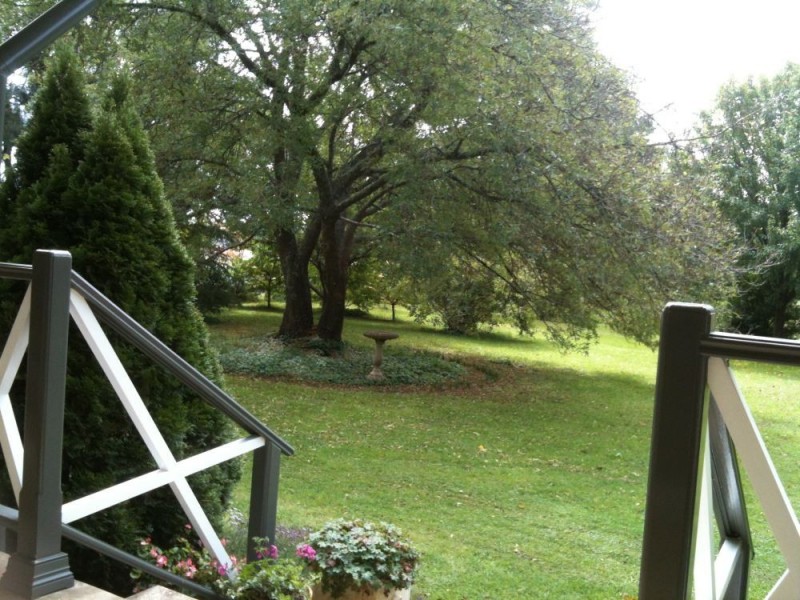 387 Cloonty Road, Robertson NSW 2577